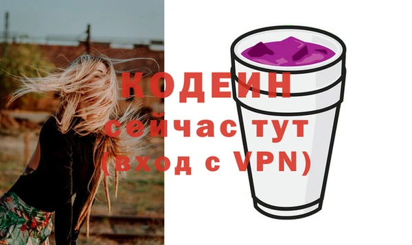 СК Зеленодольск