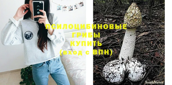 СК Зеленодольск