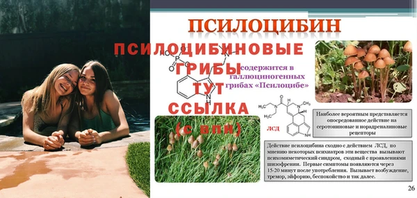 мдма Зерноград