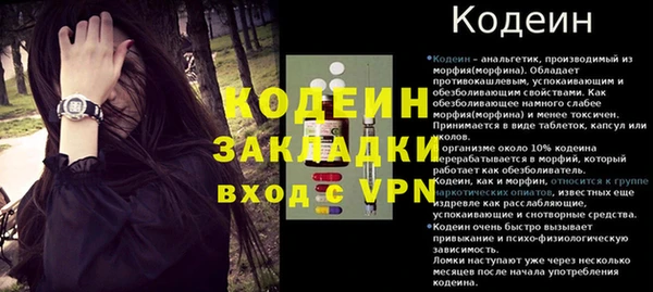 СК Зеленодольск
