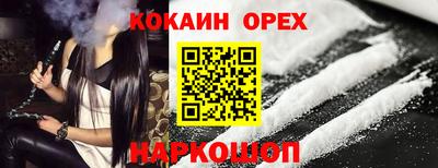 дмт Кингисепп