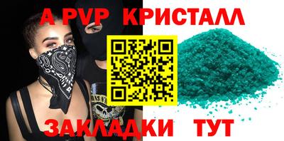 дмт Кингисепп