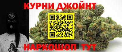дмт Кингисепп