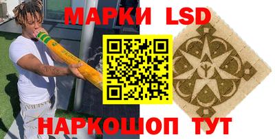 дмт Кингисепп