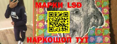 дмт Кингисепп