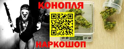 дмт Кингисепп