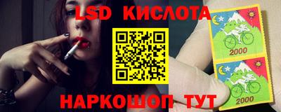 дмт Кингисепп