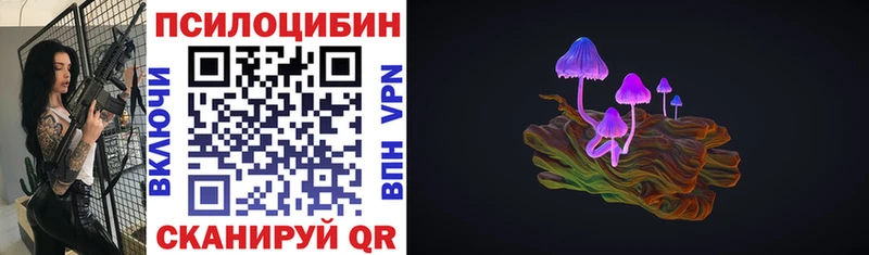 как найти закладки Красный Сулин Псилоцибиновые грибы Psilocybine cubensis
