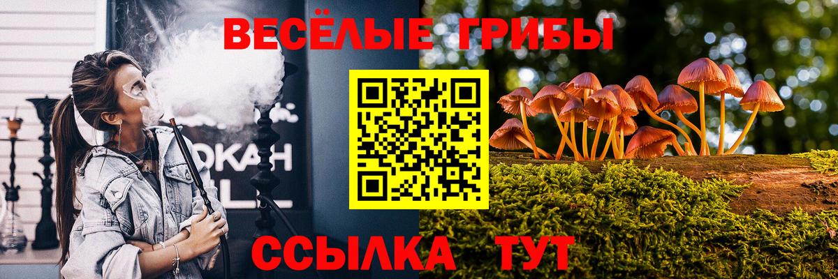 Псилоцибиновые грибы Cubensis  Вход с VPN  Псилоцибиновые грибы Magic Shrooms  Красный Сулин 